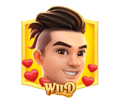 สัญลักษณ์พิเศษ Wild