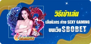 วิธีเข้าเล่นเสือมังกร บนเว็บ SBOBET คาสิโนสดจากค่าย Sexy Gaming