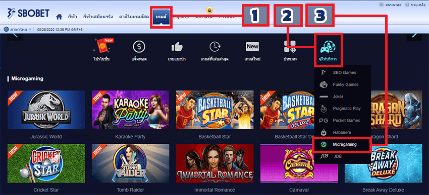 ขั้นตอนที่ 2 เลือกเมนู MICROGAMING