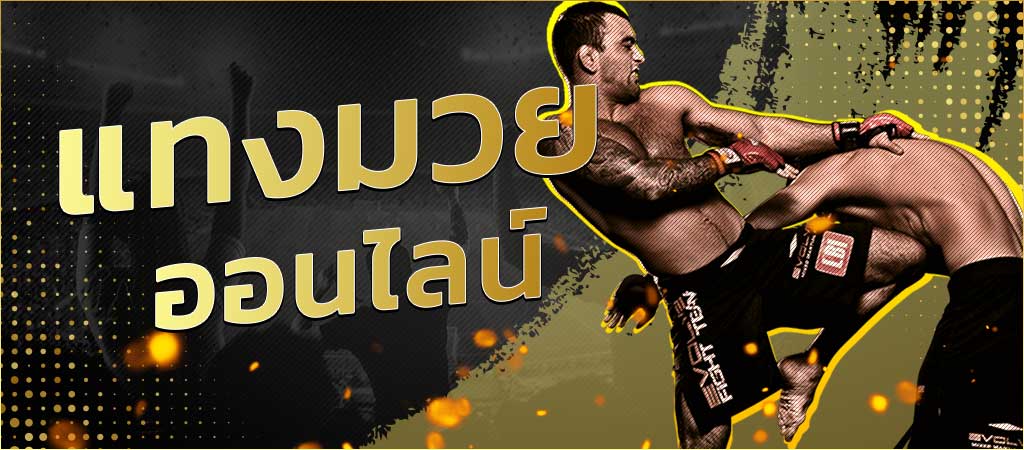 วิธีแทงมวยไทย SBOBET